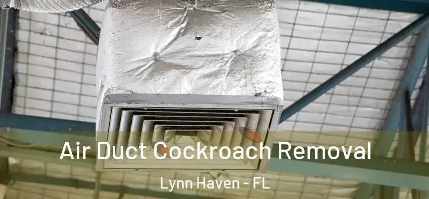 Air Duct Cockroach Removal Lynn Haven - FL