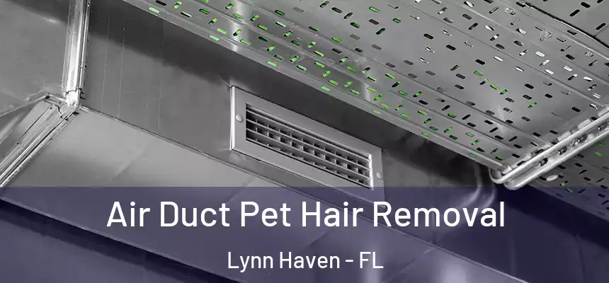 Air Duct Pet Hair Removal Lynn Haven - FL