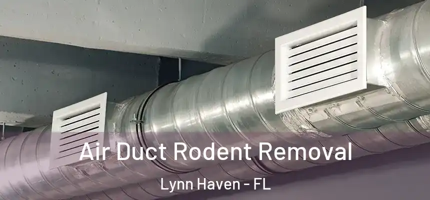  Air Duct Rodent Removal Lynn Haven - FL