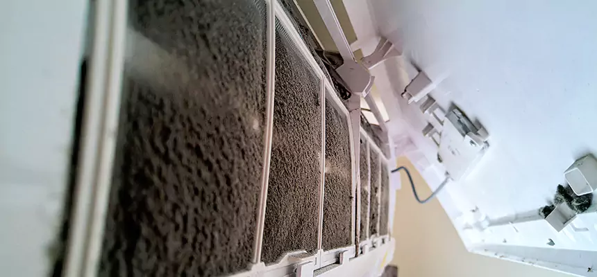 Preventive Air Duct Bacteria Removal in Lynn Haven