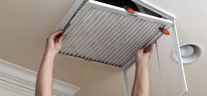 Preventive Cockroach-Proofing for Ducts in Lynn Haven