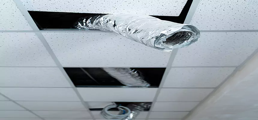 Affordable HVAC Sanitizing After Pest Removal in Lynn Haven