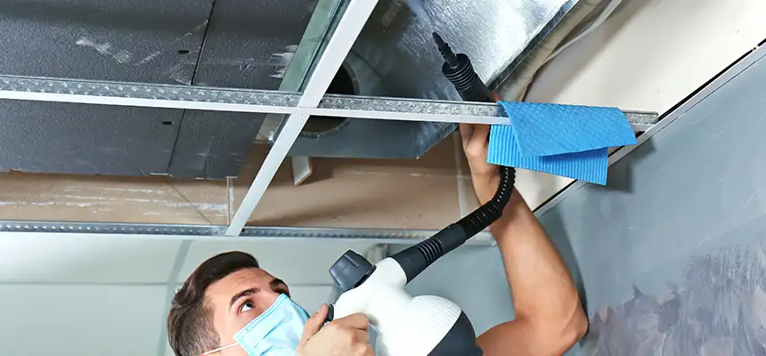 Our Air Duct Rodent Removal Services in Lynn Haven, FL