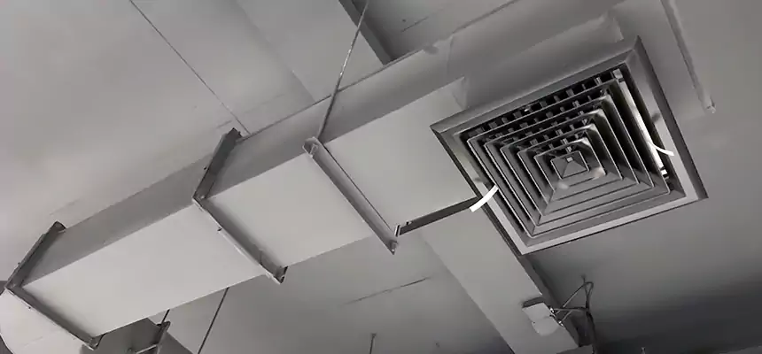 Our Pest Removal From Ducts Services in Lynn Haven, FL