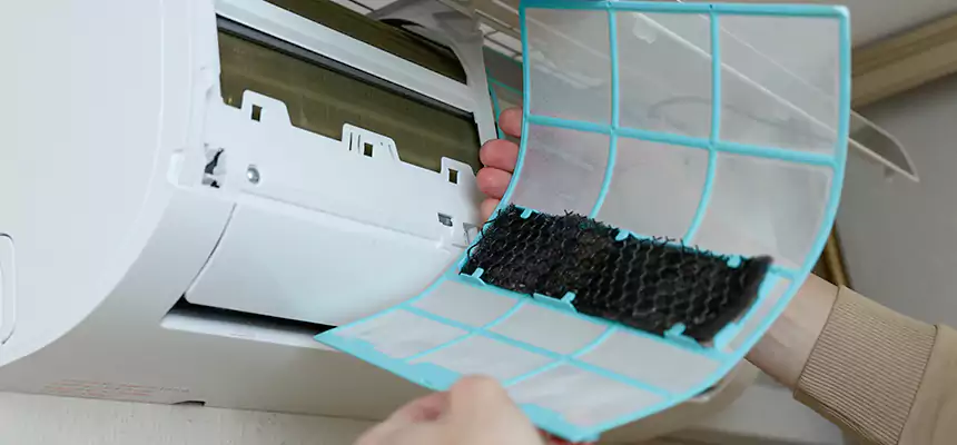 Gentle Ductwork Odor-Control Pet Dander Duct Cleaning in Lynn Haven, FL