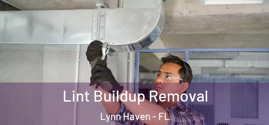  Lint Buildup Removal Lynn Haven - FL