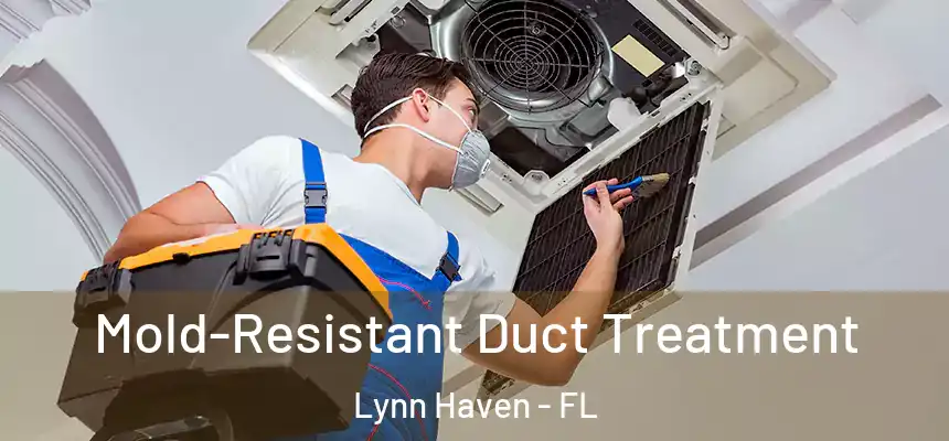  Mold-Resistant Duct Treatment Lynn Haven - FL