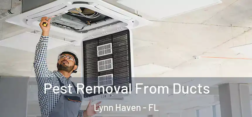  Pest Removal From Ducts Lynn Haven - FL