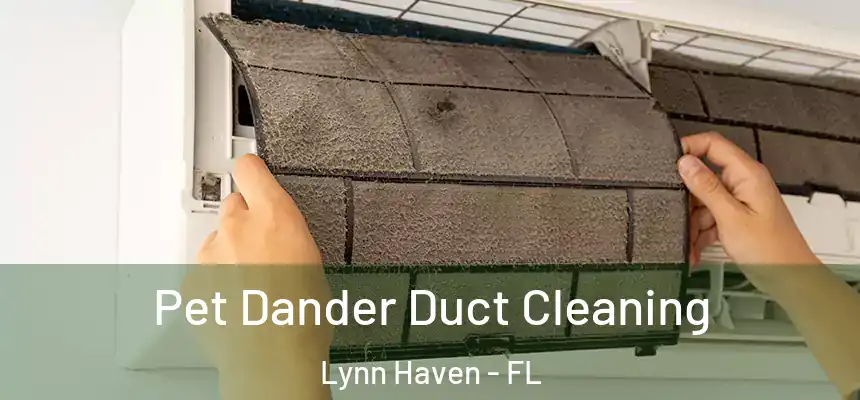 Pet Dander Duct Cleaning Lynn Haven - FL