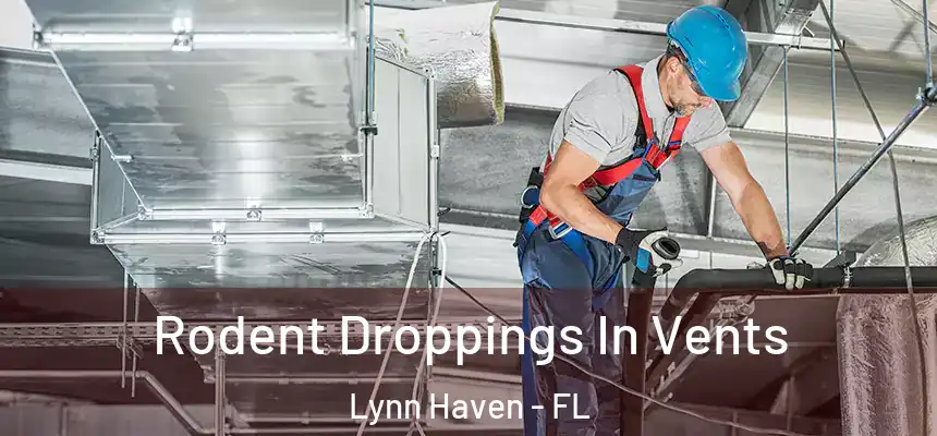  Rodent Droppings In Vents Lynn Haven - FL
