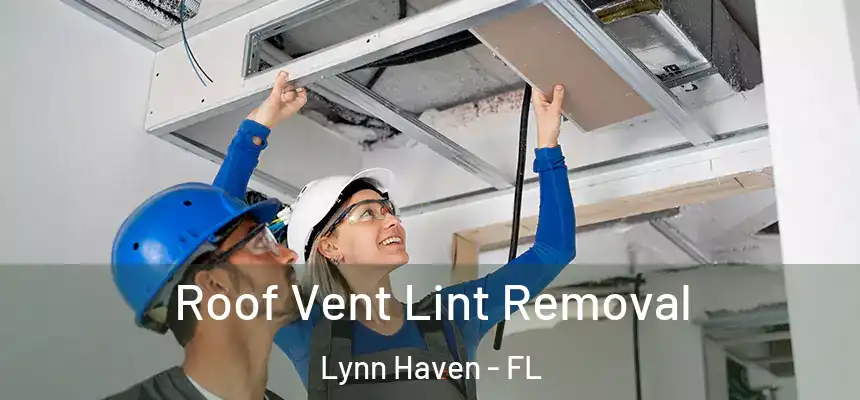  Roof Vent Lint Removal Lynn Haven - FL