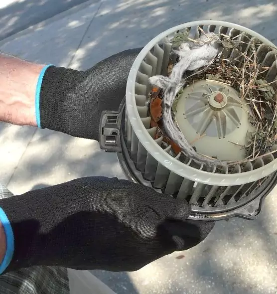 About Air Duct Mice Removal in Lynn Haven, FL