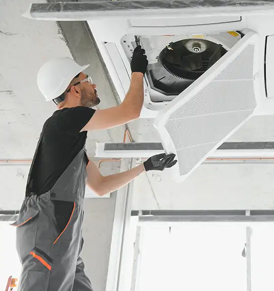 About Air Duct Rodent Removal in Lynn Haven, FL