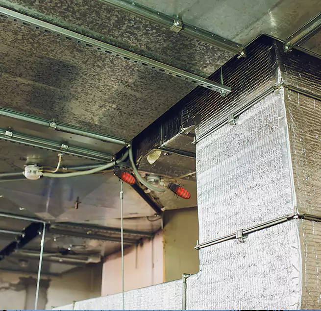 Why Homeowners & Businesses Trust Us in Lynn Haven, FL?