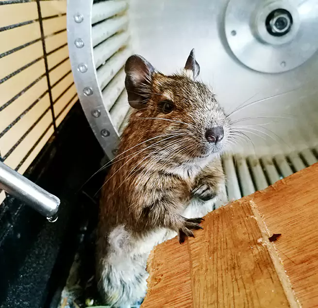 Why Homeowners & Businesses Trust Us Lynn Haven, FL