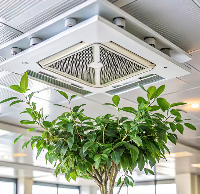 Why Homeowners & Businesses Trust Us in Lynn Haven, FL